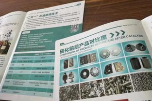 環(huán)保專利技術(shù)轉(zhuǎn)讓之困 ?；煞峙浞綘?zhēng)議與近百?gòu)S家投產(chǎn)失敗引發(fā)的思考